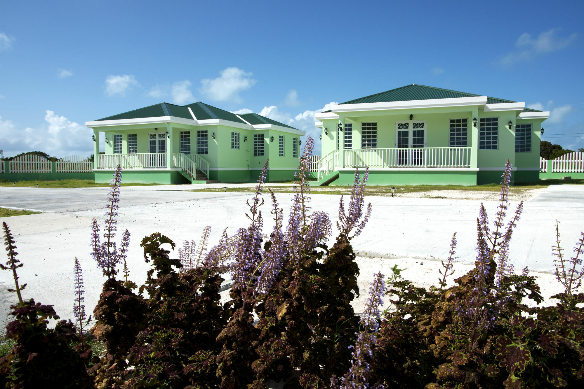 Sea Grape Villas The Settlement Esterno foto